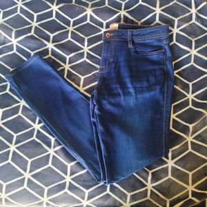 NWT Cozy Stretch Jean